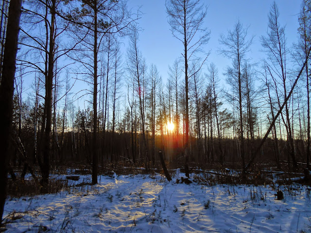 Закат солнца в Челябинском городском бору
