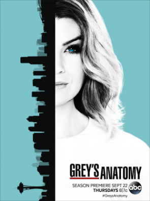 Anatomia de Grey (13