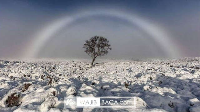 Pernah Lihat Pelangi Berwarna Putih? Fenomena Alam Ini Bikin Menakjubkan Mata Kamu Pernah Lihat Pelangi Berwarna Putih? Fenomena Alam Ini Bikin Menakjubkan Mata Kamu