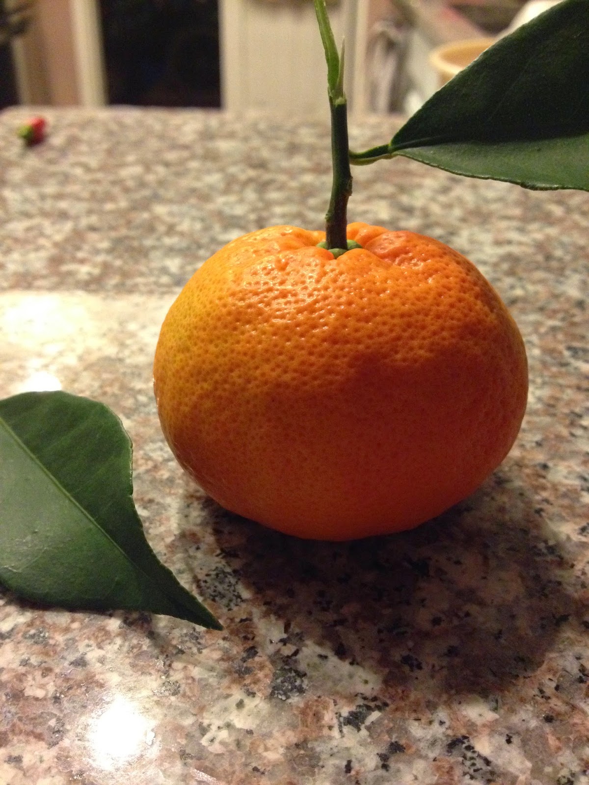 Satsuma orange