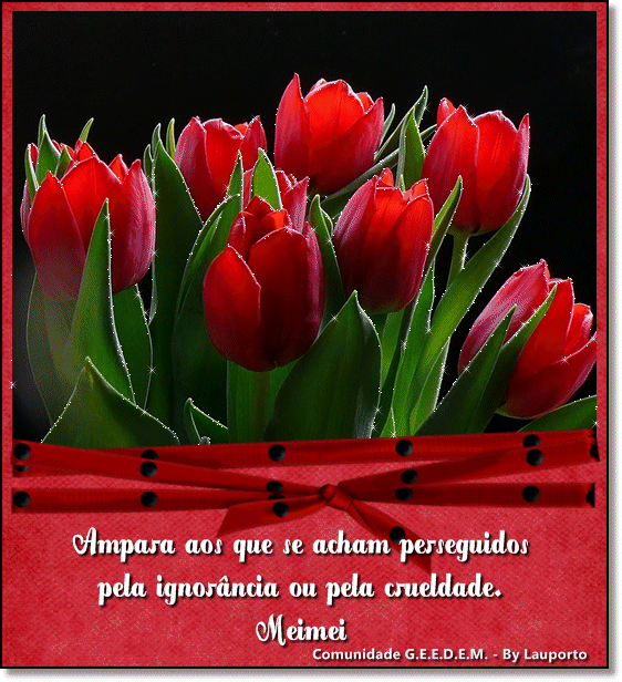 bylauporto.gif