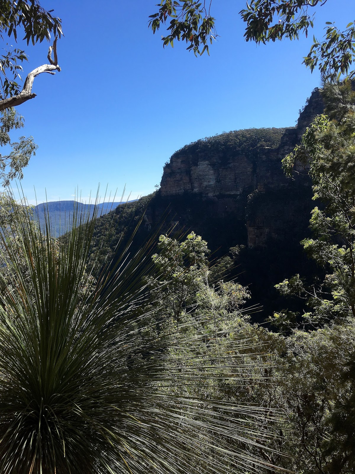 The National Pass track in the World Heritage listed Blue Mountains has been one of the most beautiful hiking trails I have seen. With the highest outdoor staircase and breathtaking views it's not to be missed!