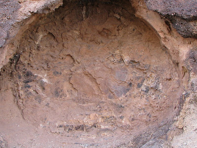 dinosaur canyon mill trail