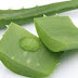 tanaman obat ambeien luar thumbnail