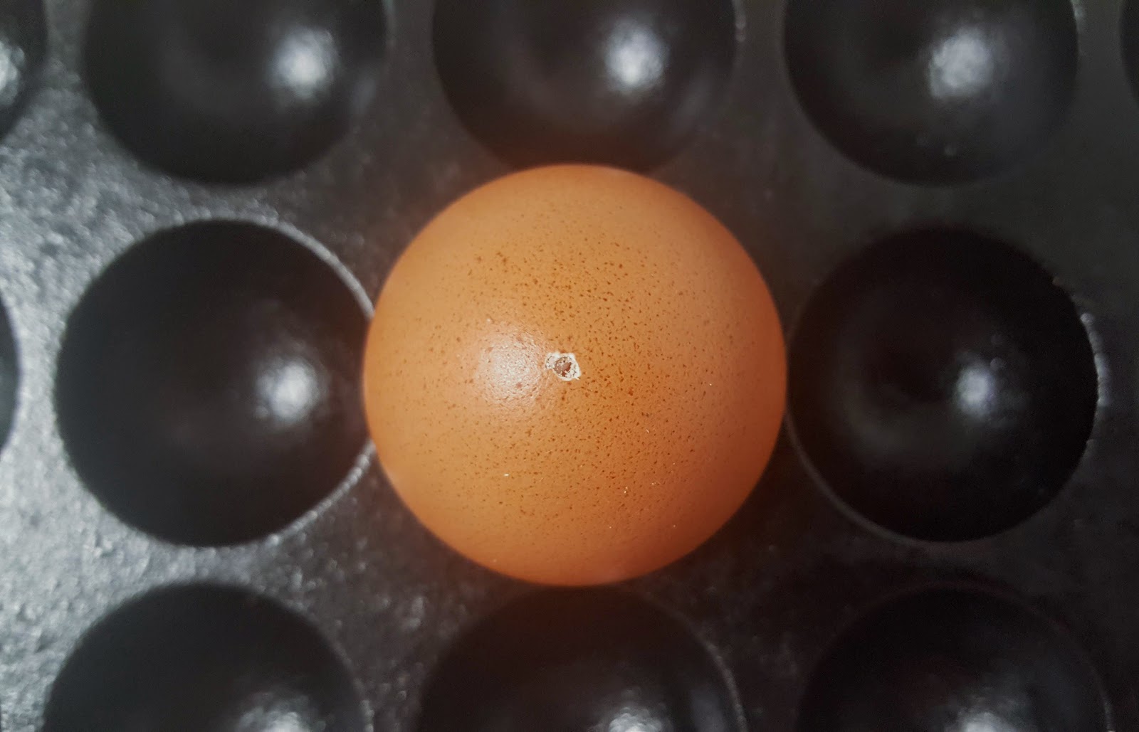 Cuire un oeuf dur, mollet ou à la coque et temps de cuisson