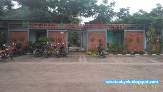 Wisata Mangrove Surabaya ekowisata hutan bakau sby