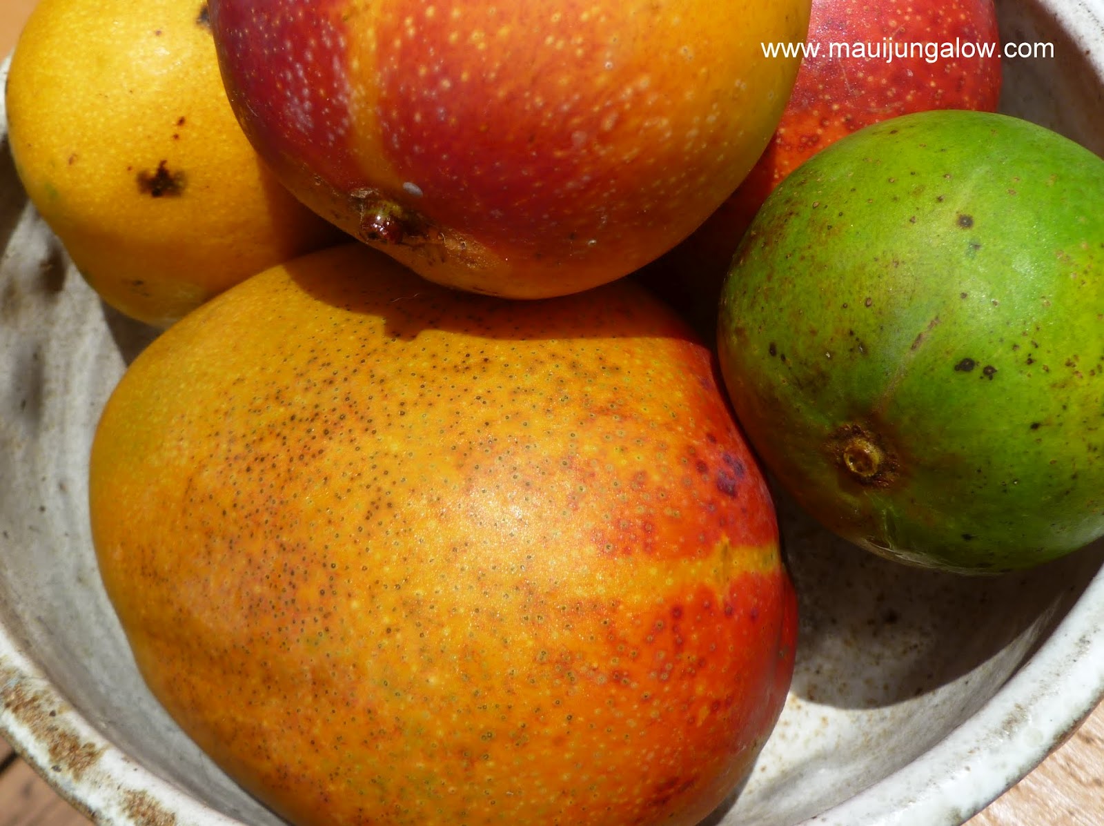 Maui Jungalow Hurray for Mangoes