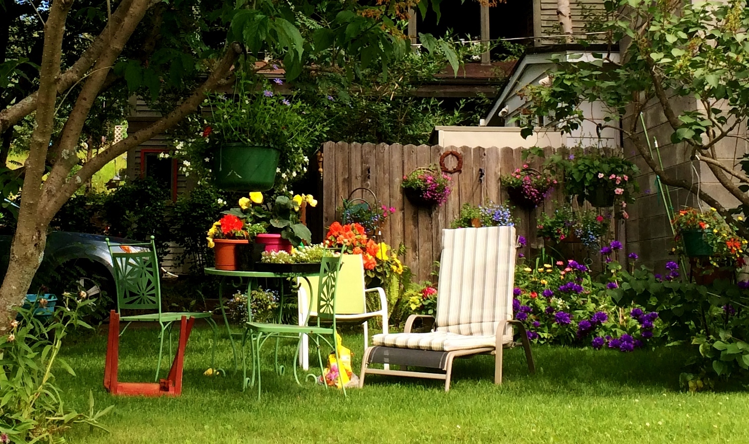 Swallowed Fly Crusades Hanging Baskets in Anchorage