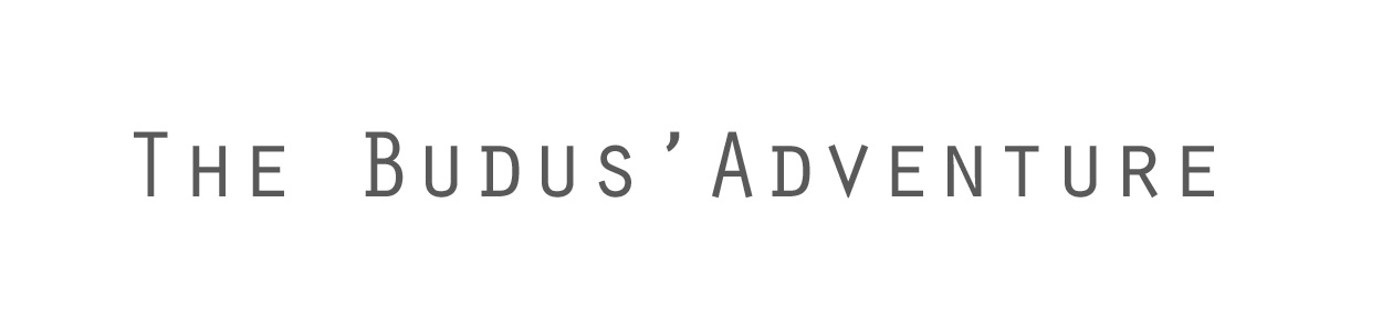 the budus' adventure
