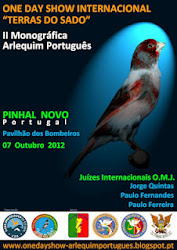 ONE DAY SHOW ARLEQUIM PORTUGUÊS