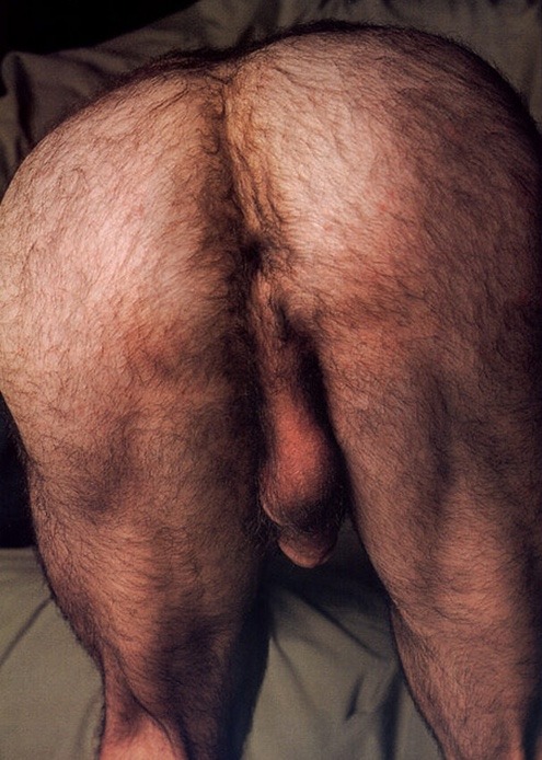 Gay man hairy ass