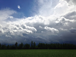 Prairie Skies