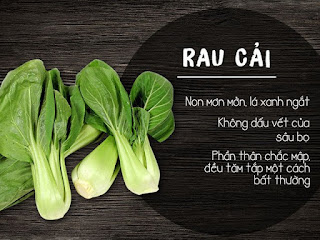 Cách lựa chọn được rau sạch khi đi chơ, đi siêu thị Cách lựa chọn được rau sạch khi đi chơ, đi siêu thị
