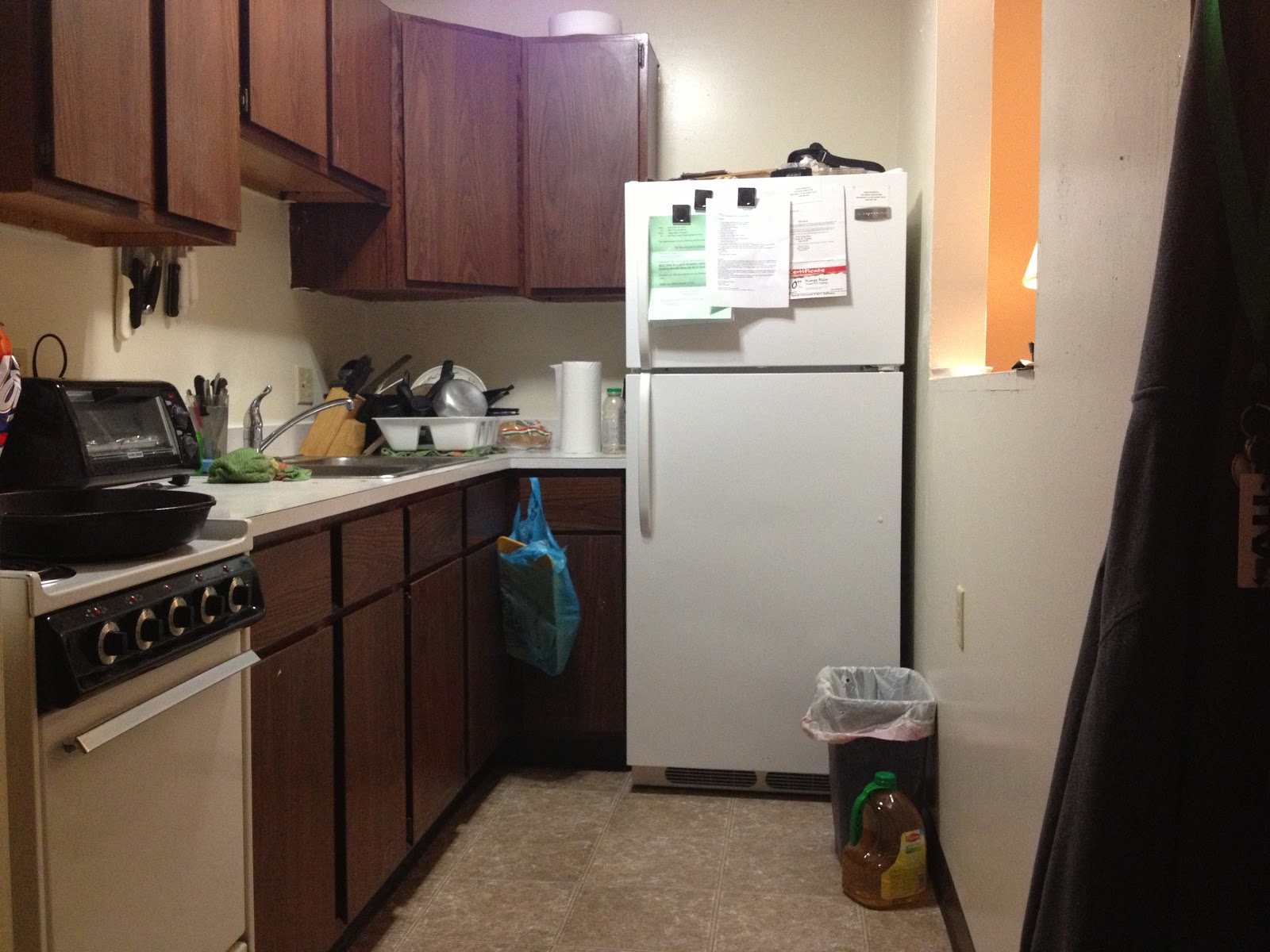 Life with MS (Multiple Sclerosis)