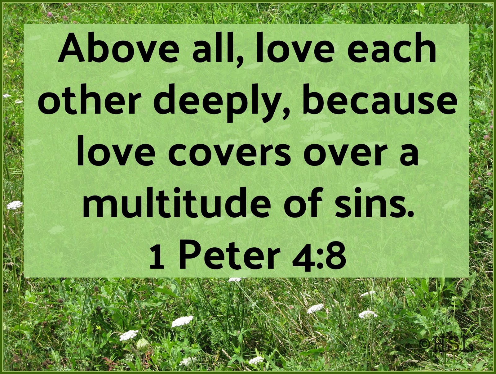 Home Sweet Life 1 Peter 4 8