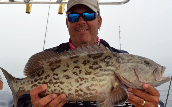 February Tampa Bay Black Drum Fishing Report with Capt. Rafael Rios