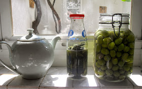 Divinely Toxic - Mycotoxins, Toxic Mold, Toxins, Candida and You: Pets