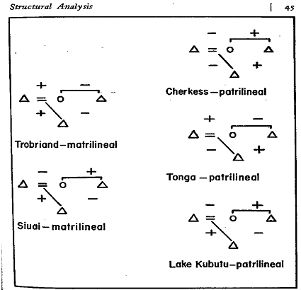Notes on Culture: Levi-Strauss, The Problem of the Avunculate