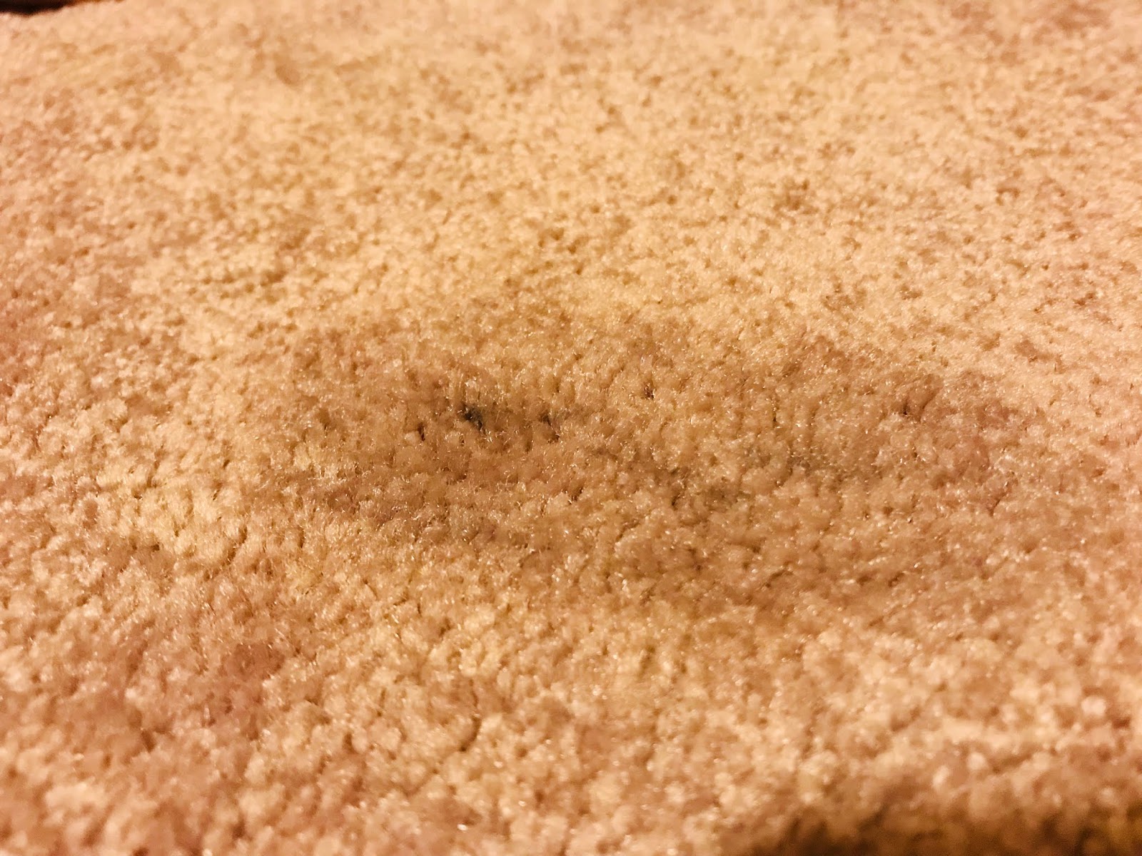How We Removed a Black Sharpie Marker from Our Carpet Dallas Mom Blog