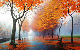 paseo-solitario-en-un-dia-gris-de-otoño