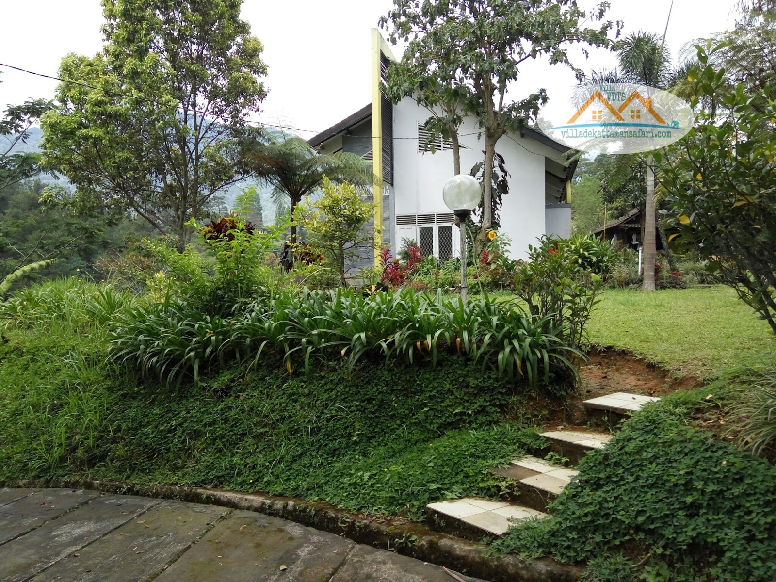 Villa Puncak Dekat Taman Safari Bogor | Hotel di puncak ...