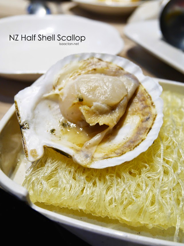 NZ Half Shell Scallop