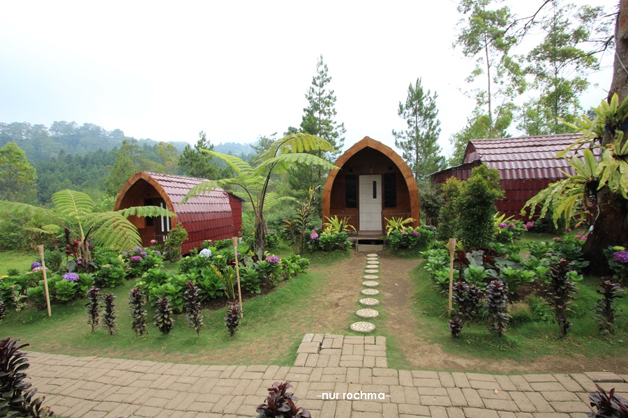 Coban Talun (bagian 1): Spot Selfie di Pagupon Camp ...