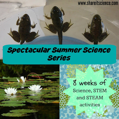 http://www.shareitscience.com/2016/06/summer-science-STEM-activities.html