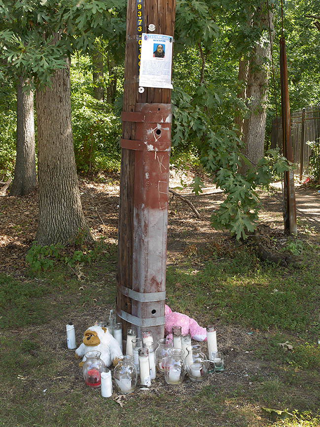 Washington's Other Monuments J.R. Reed Franklin's memorial at the