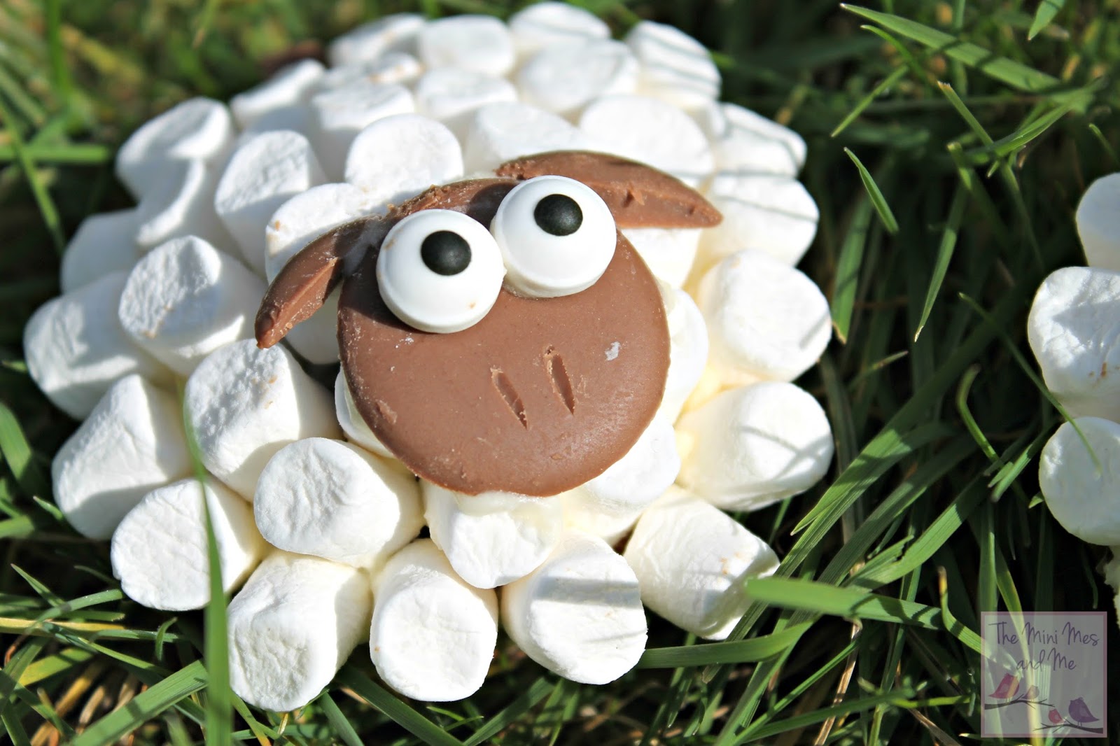 sheep cupcakes easter baking