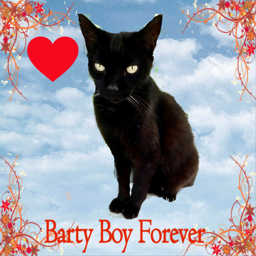 RIP Barty Boy