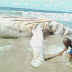 Mysterious: A Strange Fish Was Discovered At Eleko Beach, Lagos (See Photos)