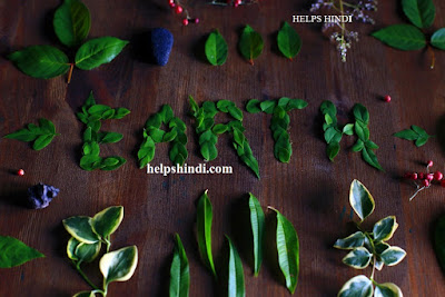 पृथ्वी दिवस - Earth Day in hindi पृथ्वी दिवस - Earth Day in hindi