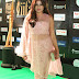 Telugu Model Nidhi At IIFA Awards 2017 In Pink Dress