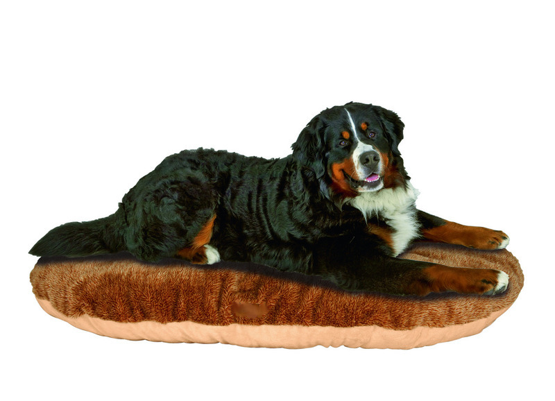 Hundezubehör für kleine und große Hunde fashion and lifestyle for