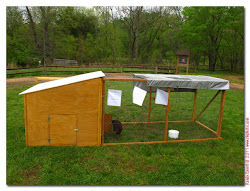 chicken coops portable coop local rlephoto x3s 2s lasting sturdy being them pt