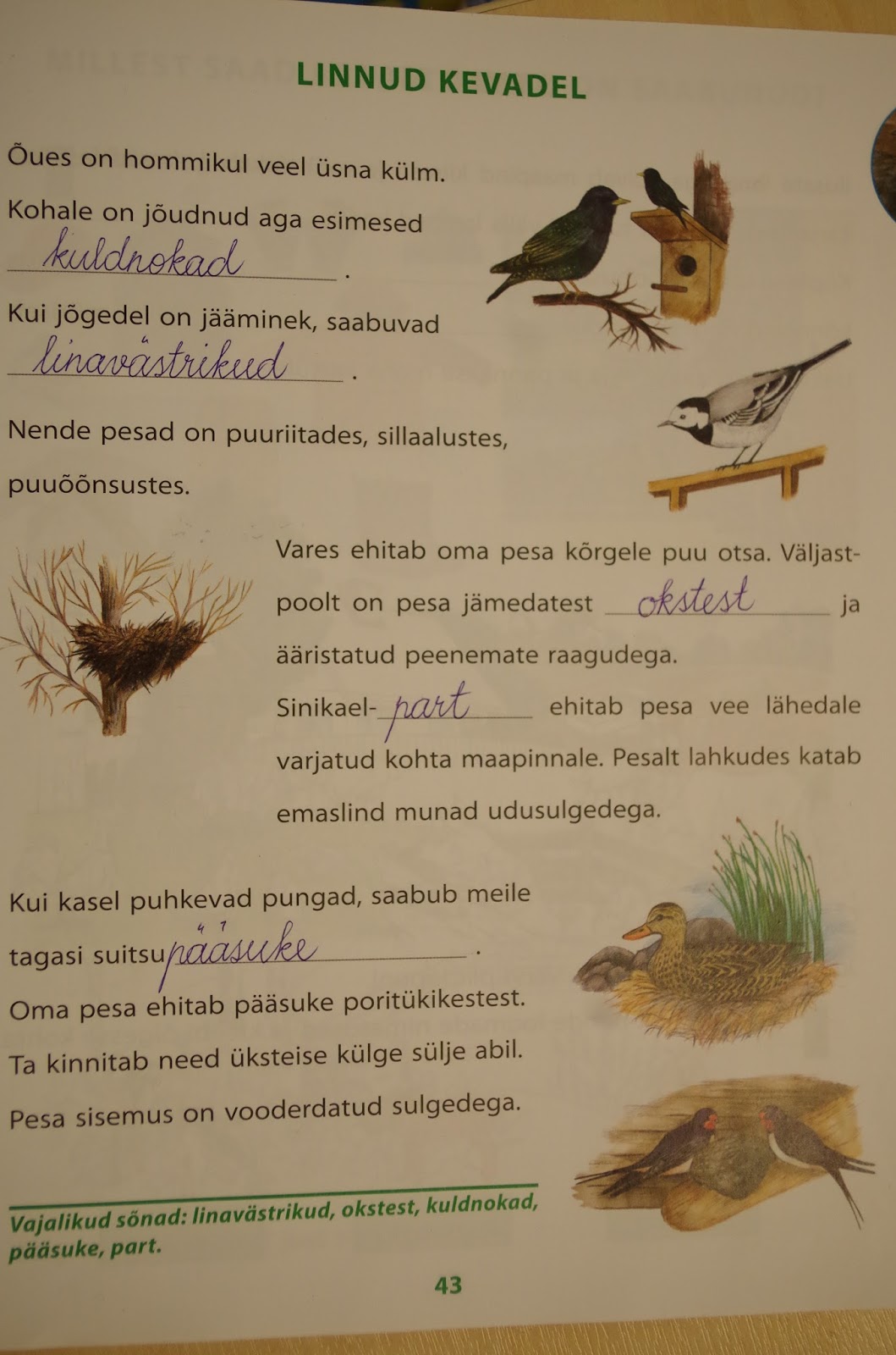 Samm-sammult tarkuse poole: Teema 