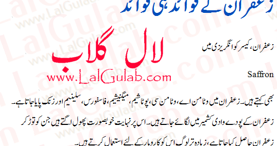 uswa e hasna in urdu essay Free essays on uswa e hasna in urdu get help with your writing 1 through 30. uswa e hasna in urdu essay Free essays on uswa e hasna in urdu get help with your writing 1 through 30.