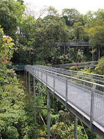 Forest Walk - Telok Blangah Hill Park