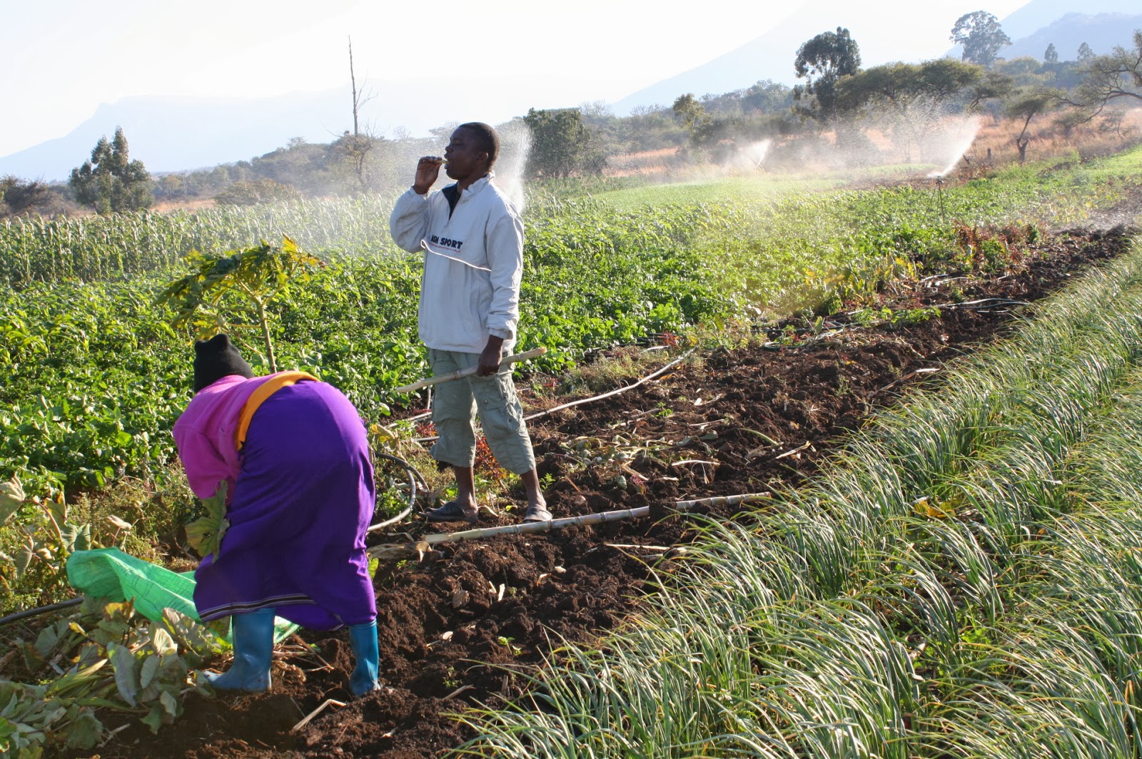 Zimbabwe Sterilization Center Medical Equipment/