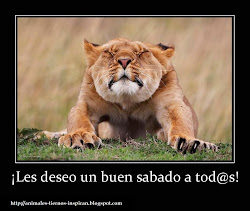 imagenes animales frases divertidas graciosas lindas tiernos sabado carteles inspiran desmotivaciones etiquetas buen