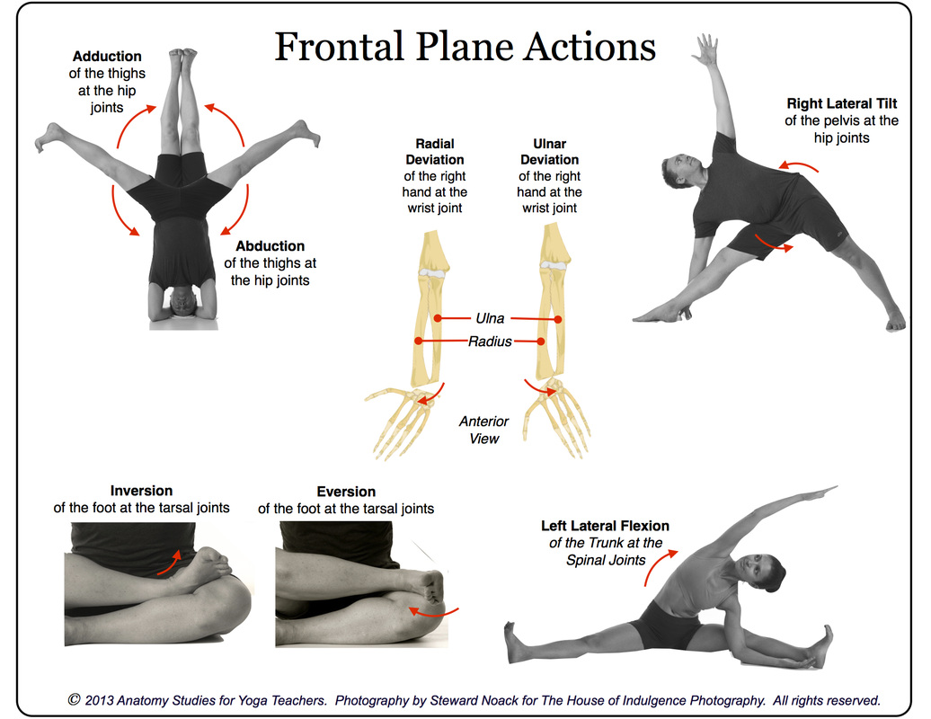 Planes of Motion ระนาบในการเคลื่อนไหวของมนุษย์