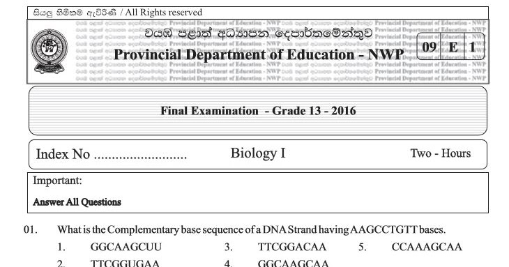 North western province term test papers 2019 with answers grade 13 image
