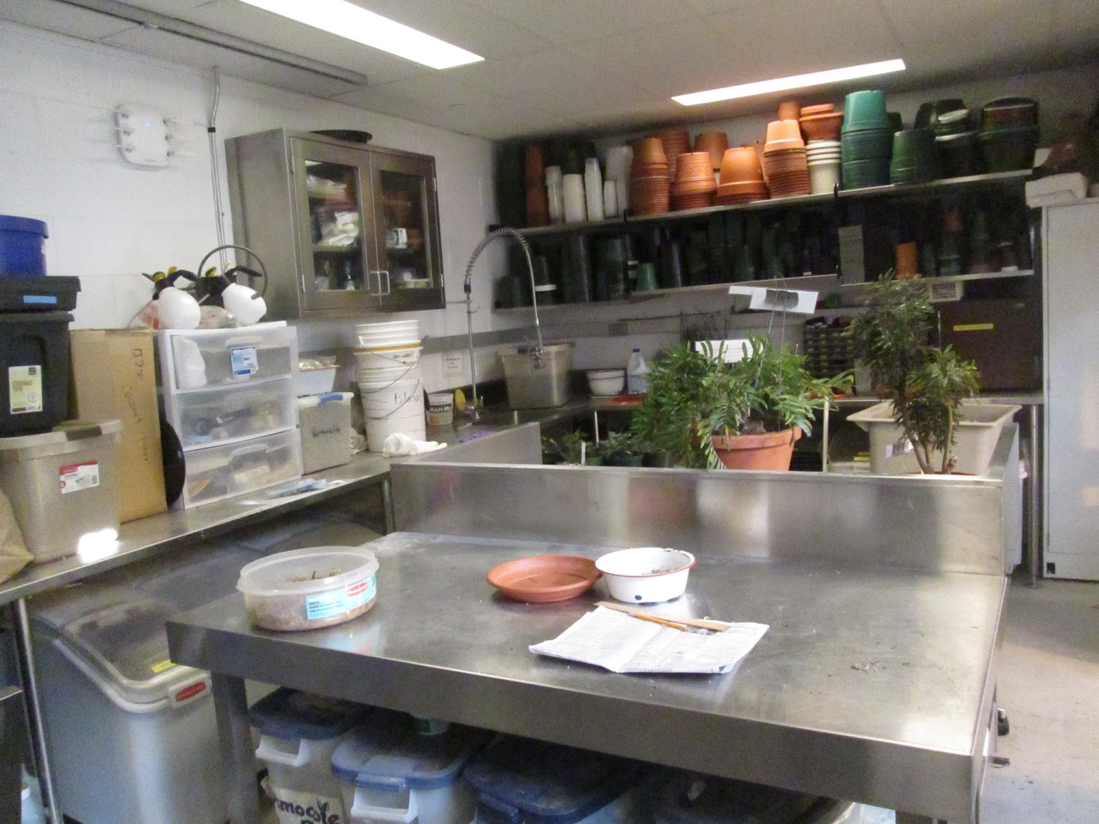 Unity College in Maine Internship Program Unity College Dartmouth Greenhouse Week 1