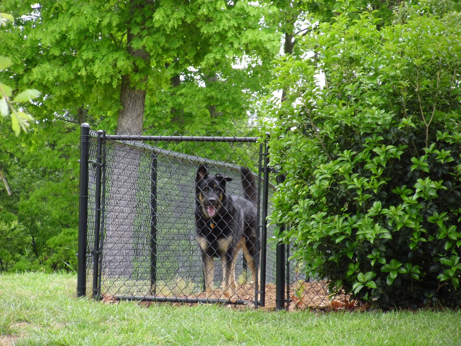 Elder Kelly Harper Boiling Springs, South Carolina