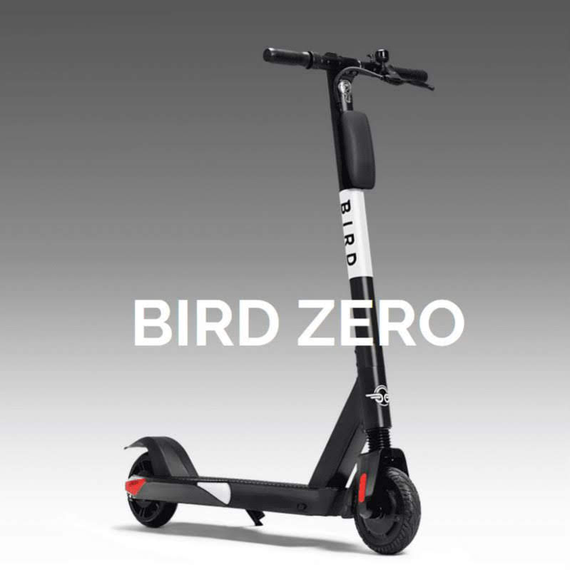 TKC BREAKING NEWS!!! PLUSSIZED KANSAS CITY FORCED BIRD TO DEVELOP MORE