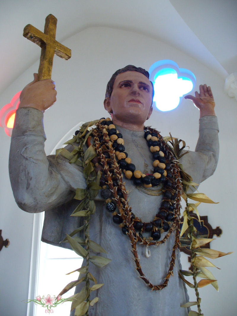 A Catholic Mom in Hawaii Feast of St. Damien of Molokai Photos and