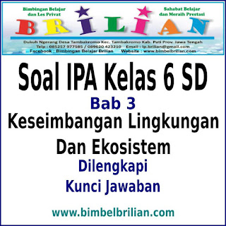 Soal IPA Kelas 6 SD BAB Keseimbangan Lingkungan dan Soal IPA Kelas 6 SD BAB Keseimbangan Lingkungan dan