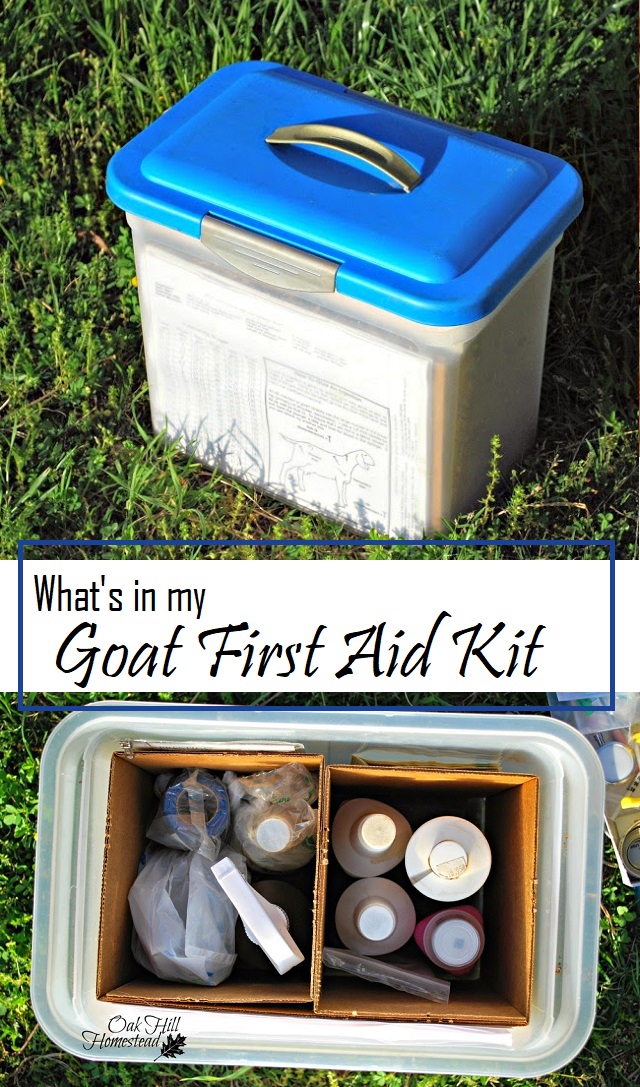 Inside My Livestock First Aid Kit Oak Hill Homestead