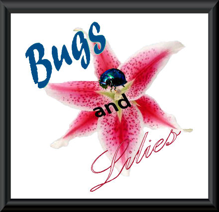 Bugs and Lilies 